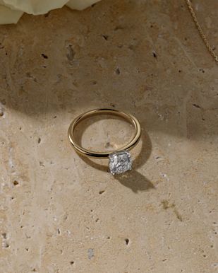 SMHDB collection image